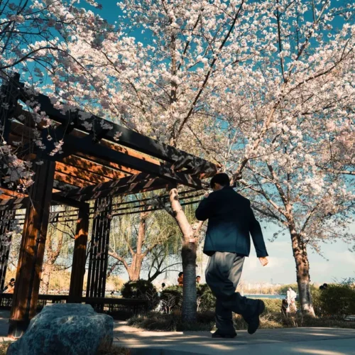 shopthietke com 41 樱花调色II web