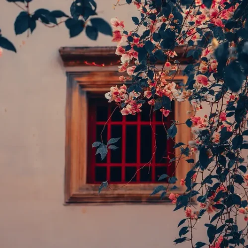 shopthietke com 7 三角梅调色 web