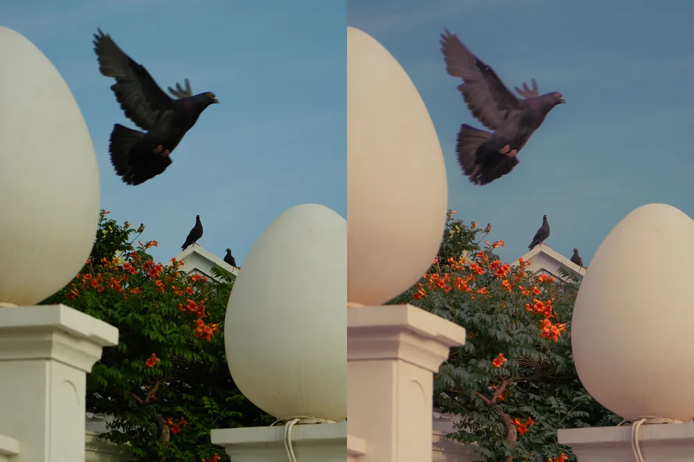 shopthietke com 9 莫兰蒂原图 I 9 莫兰蒂调色 I web collage