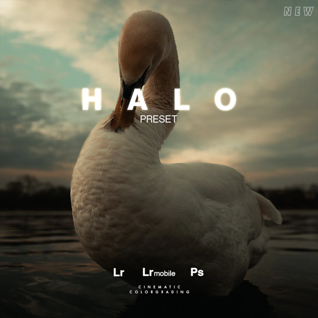 shopthietke com ELYSIUM ADS