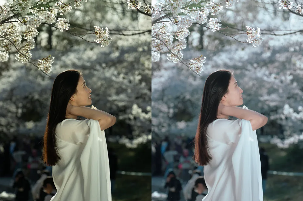 shopthietke com LMX 人像原图 01 .jpg LMX 人像调色 01 web collage