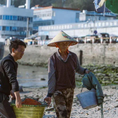 18 Preset NAG Trung Quốc Lý Minh Tinh Dành Cho Ảnh Chân Dung (XMP/DNG) 19 shopthietke com LMX 人像调色 06 web