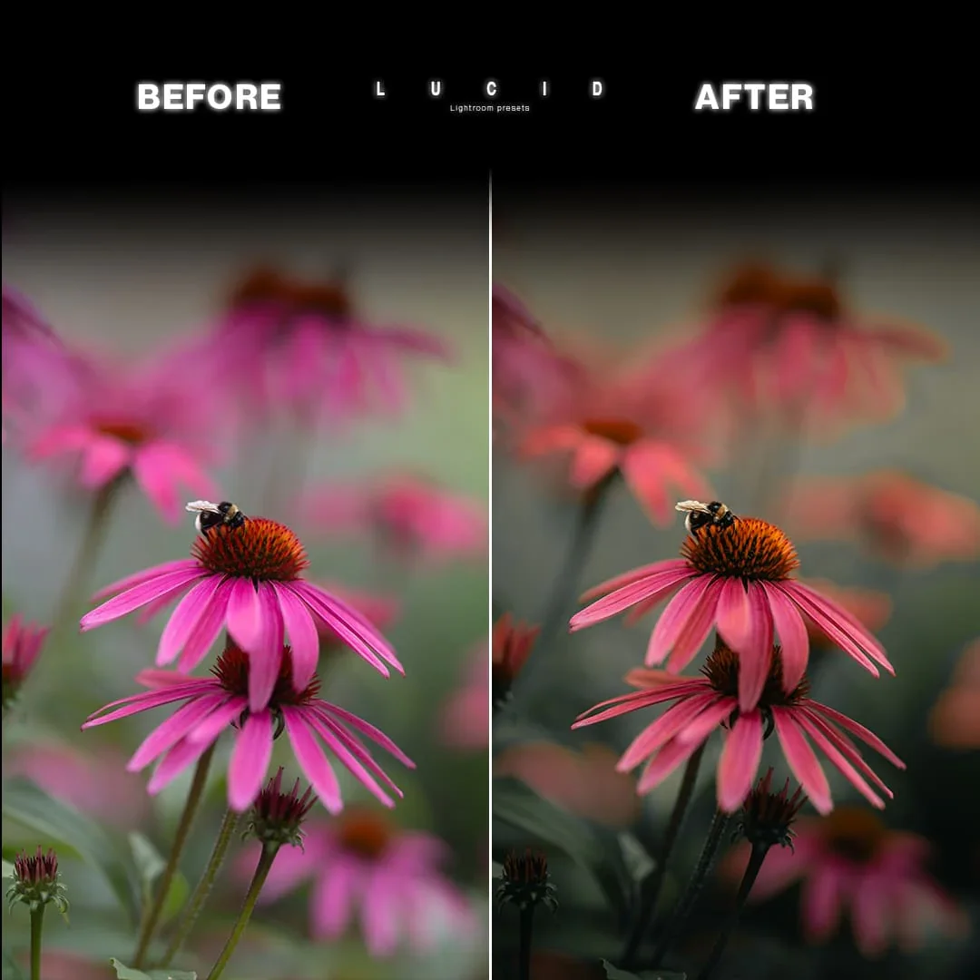 shopthietke com LUCID BEFORE AFTER 06