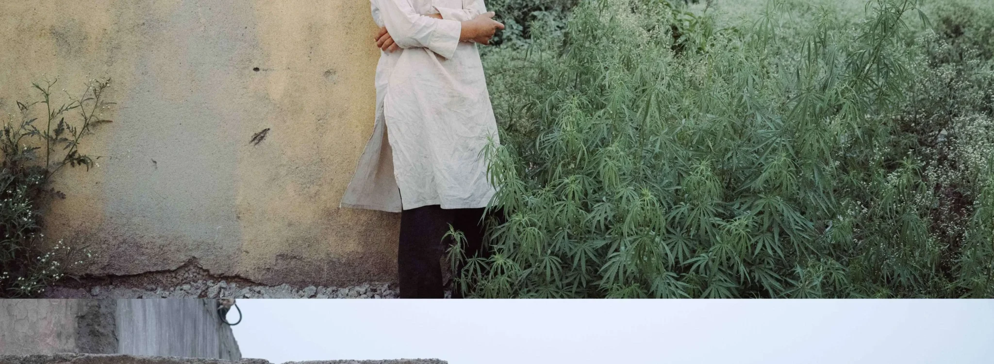 shopthietke com Shopthietke.com 100 scaled