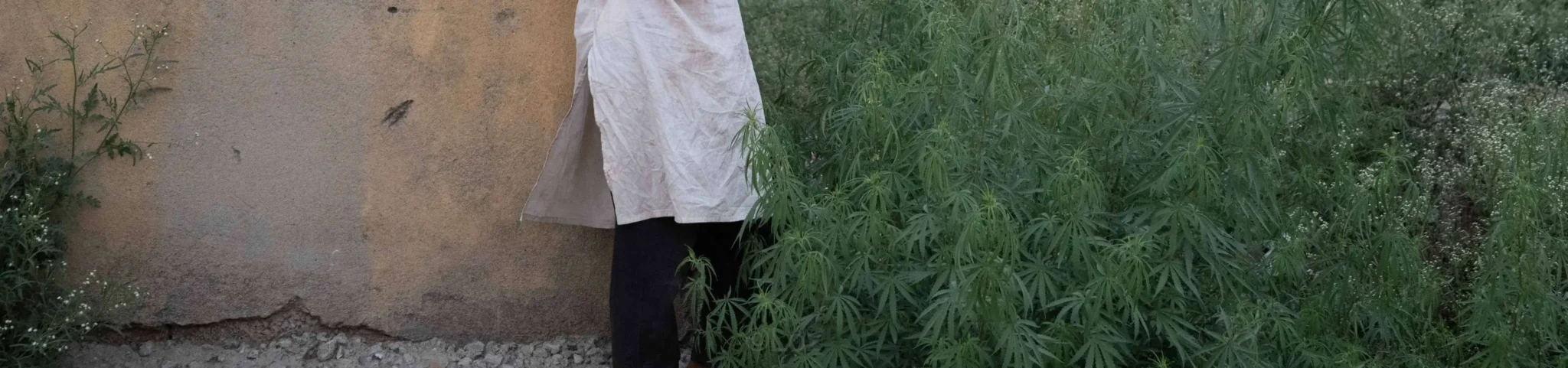 shopthietke com Shopthietke.com 102 scaled