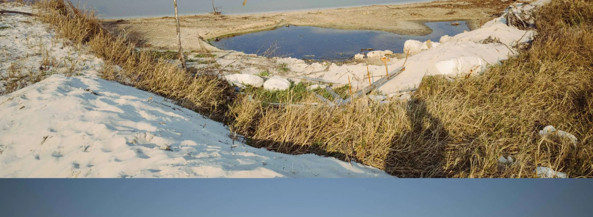 shopthietke com Shopthietke.com 122 scaled