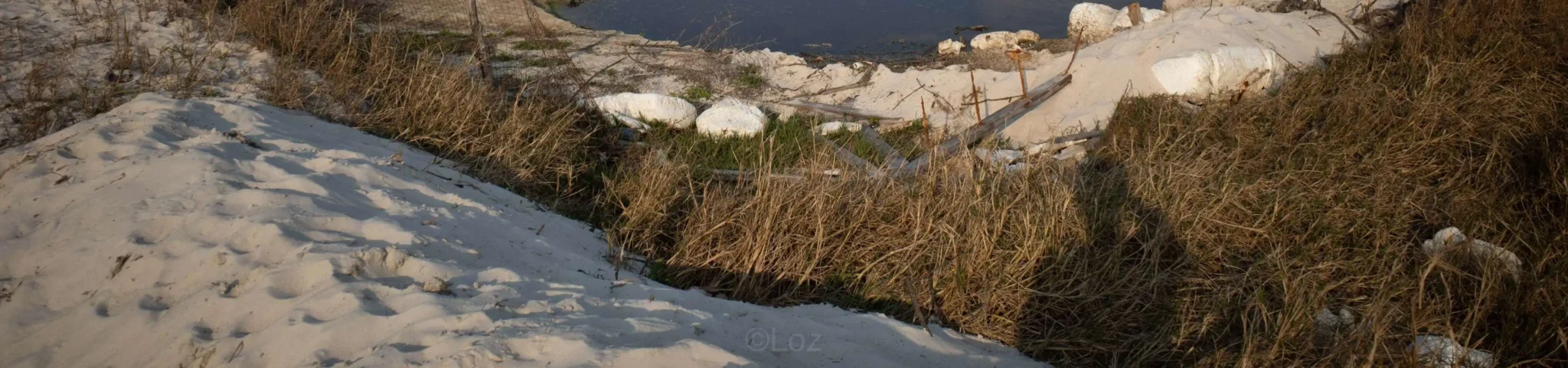 shopthietke com Shopthietke.com 124 scaled