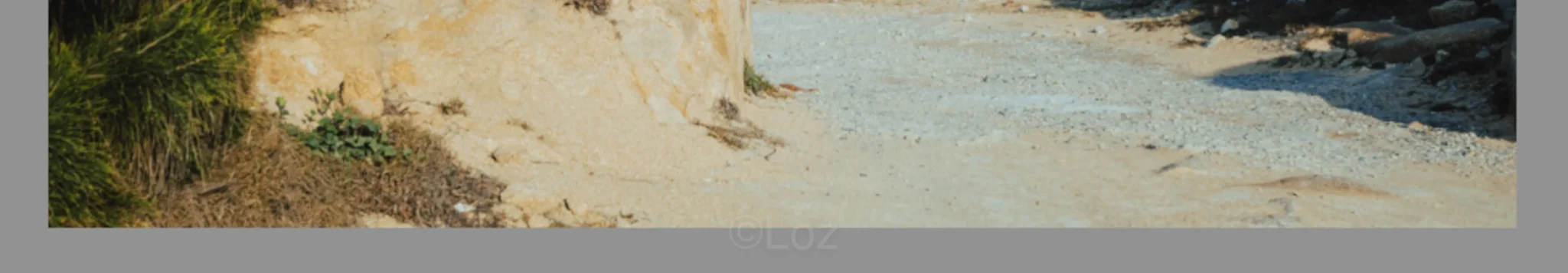 shopthietke com Shopthietke.com 134 scaled