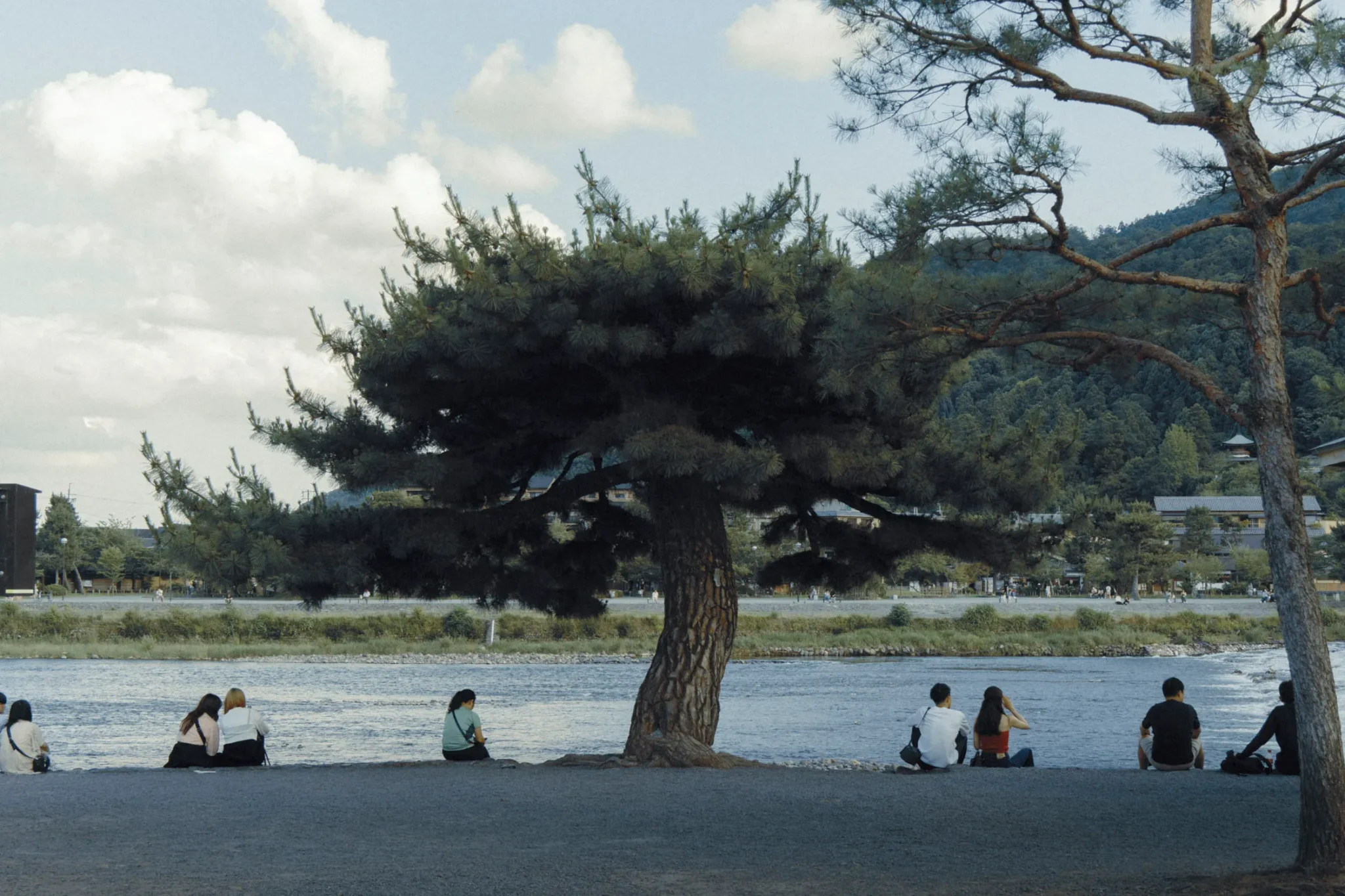 shopthietke com Shopthietke.com 217 scaled