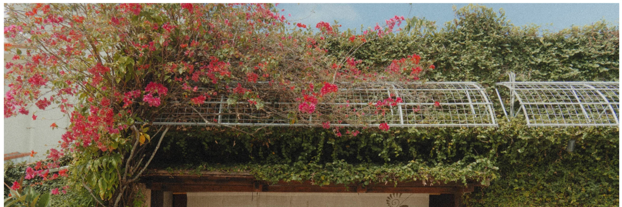 shopthietke com Shopthietke.com 219 scaled