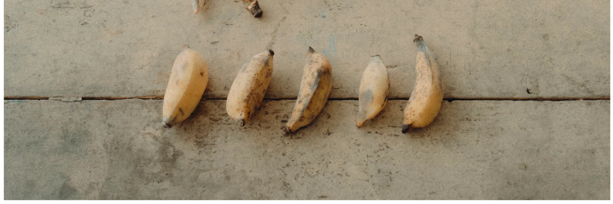 shopthietke com Shopthietke.com 224 scaled