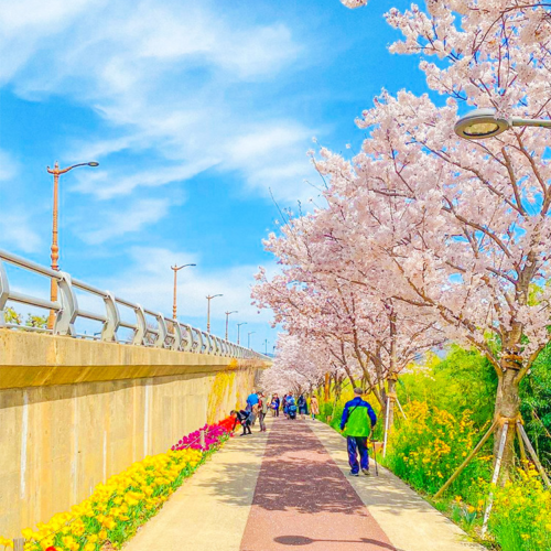 shopthietke com Shopthietke.com 237