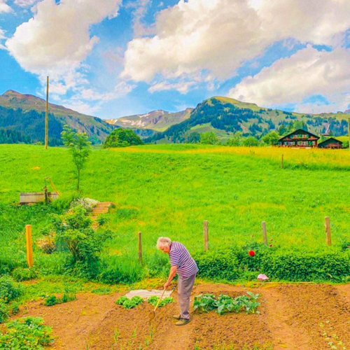 shopthietke com Shopthietke.com 239