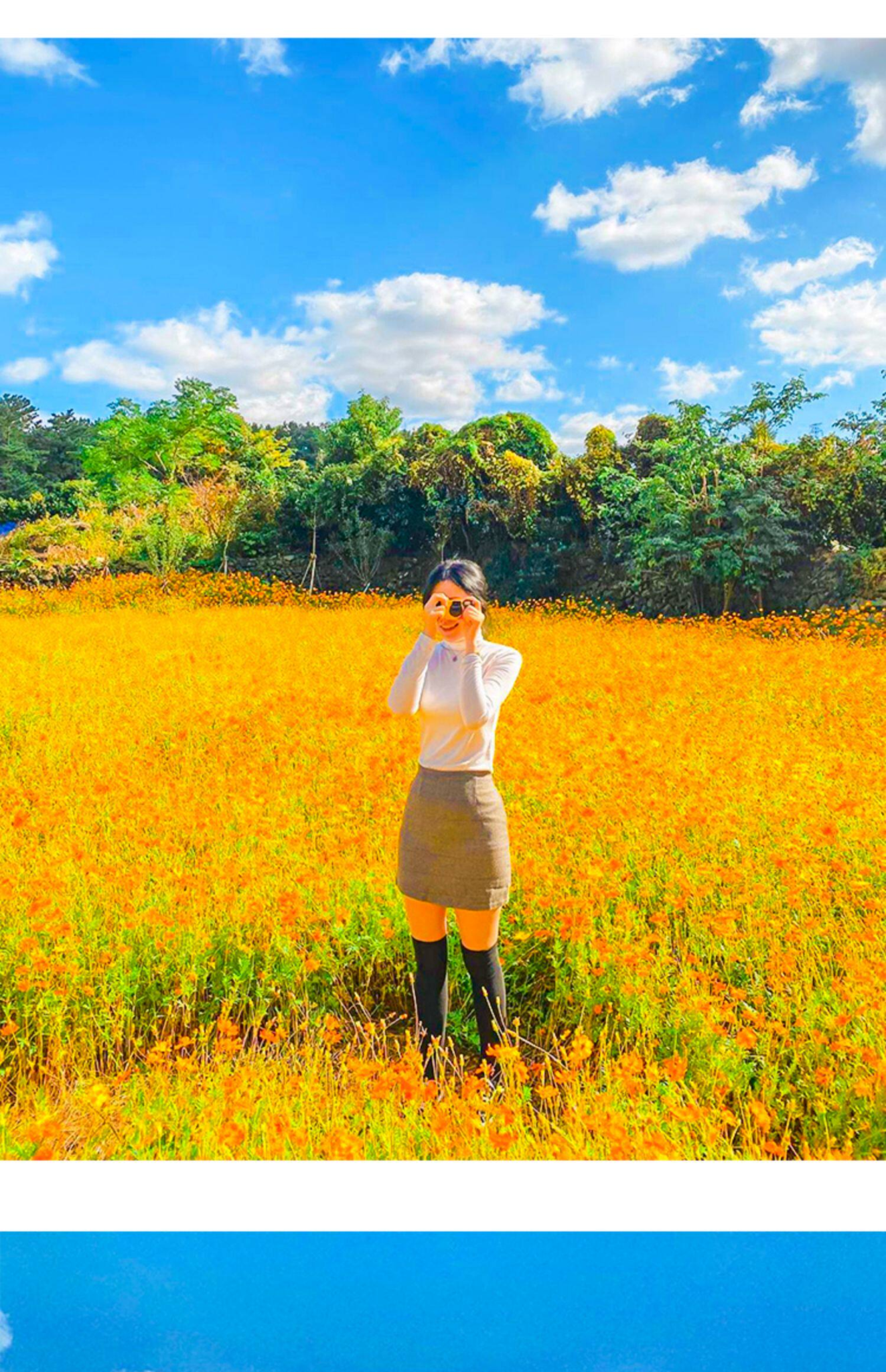 shopthietke com Shopthietke.com 244 scaled