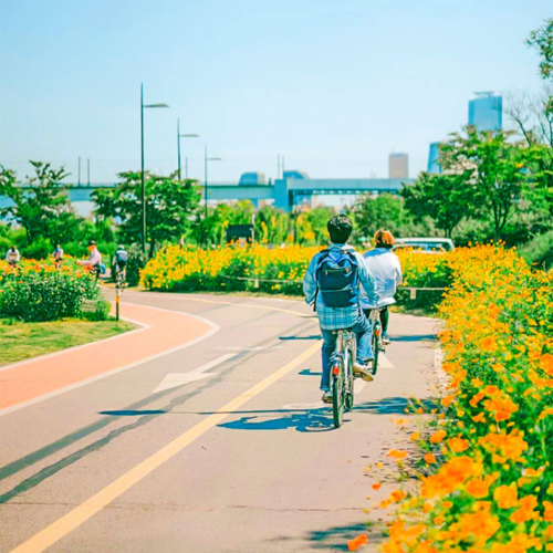 shopthietke com Shopthietke.com 247