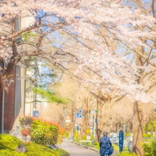 shopthietke com Shopthietke.com 272