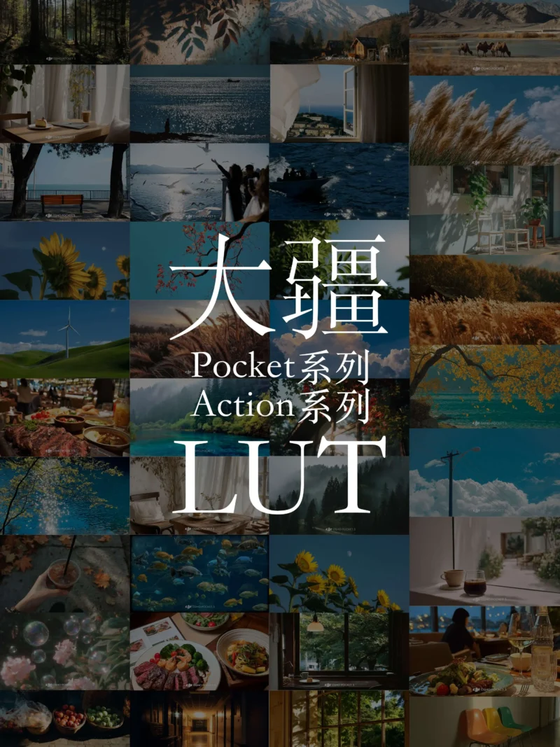 Wu Du Tian Kong – Bộ LUT Điện Ảnh Cho DJI Pocket & Action Chuẩn Phim Cổ Điển (CUBE)