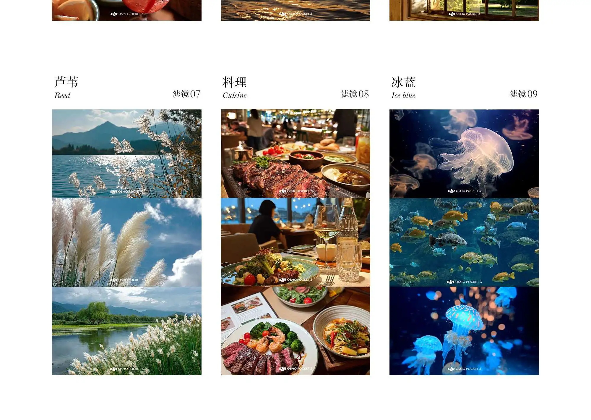 Wu Du Tian Kong – Bộ LUT Điện Ảnh Cho DJI Pocket & Action Chuẩn Phim Cổ Điển (CUBE) 8 shopthietke com Shopthietke.com 283