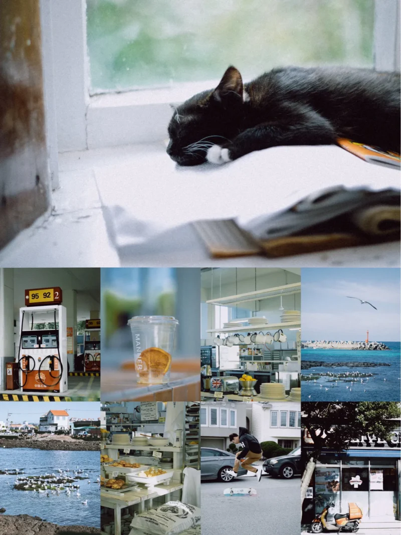 Fuji Film Simulation Presets 2026 – Bộ 6 Tone Giả Lập Màu Film Chuẩn Phong Cách Nhật (XMP/DNG)