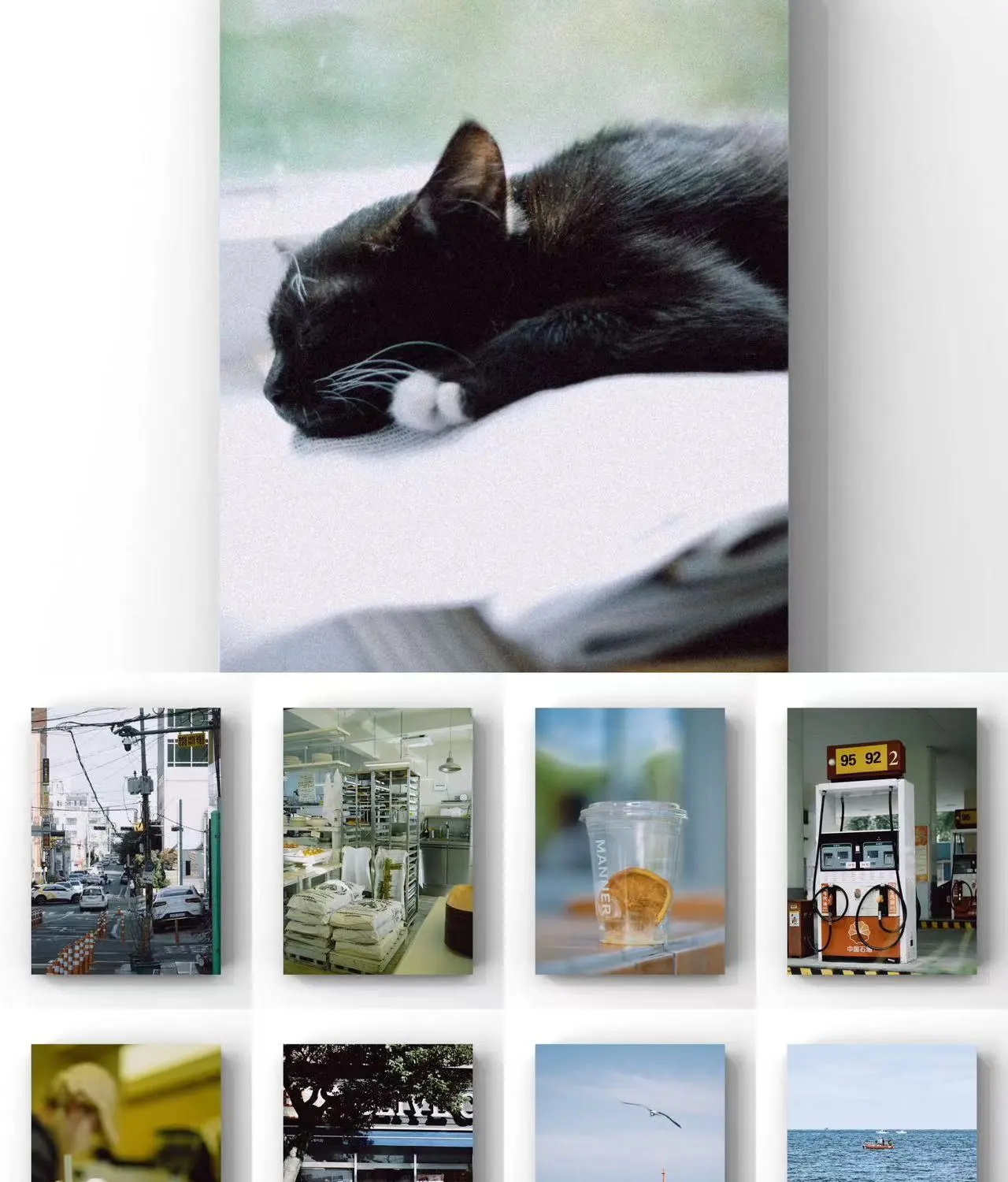 shopthietke com Shopthietke.com 287