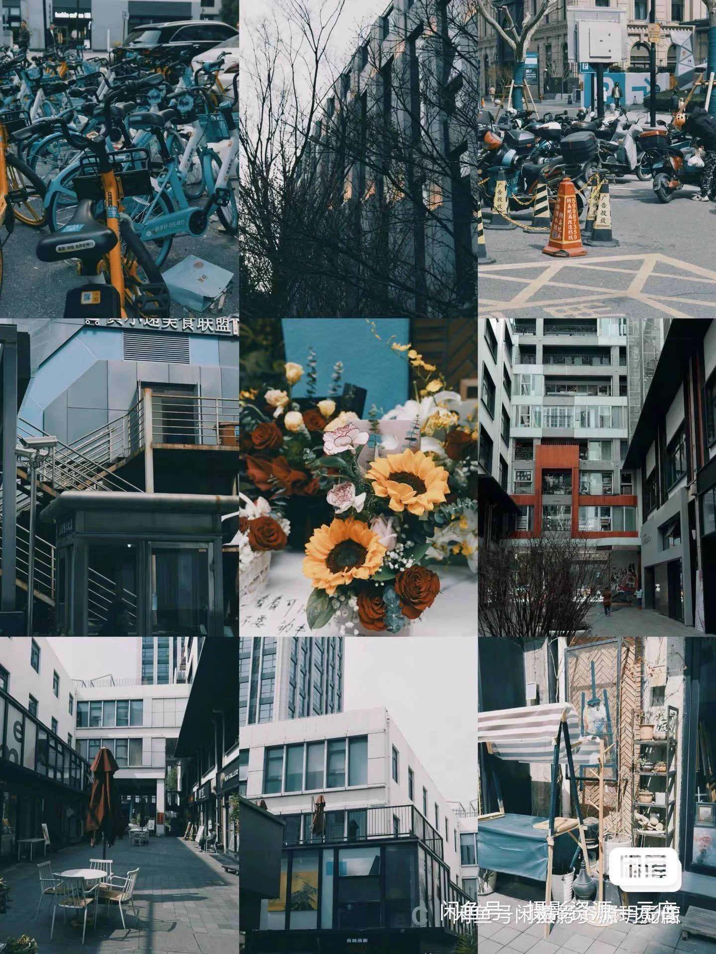 Pladychan Panasonic LUT Bản Cập Nhật Mới Nhất – Trọn Bộ Sưu Tập Đầy Đủ & Liên Tục Nâng Cấp (XMP/CUBE)