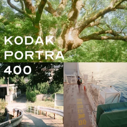 Pladychan Panasonic LUT Bản Cập Nhật Mới Nhất – Trọn Bộ Sưu Tập Đầy Đủ & Liên Tục Nâng Cấp (XMP/CUBE) 12 shopthietke com Shopthietke.com 316