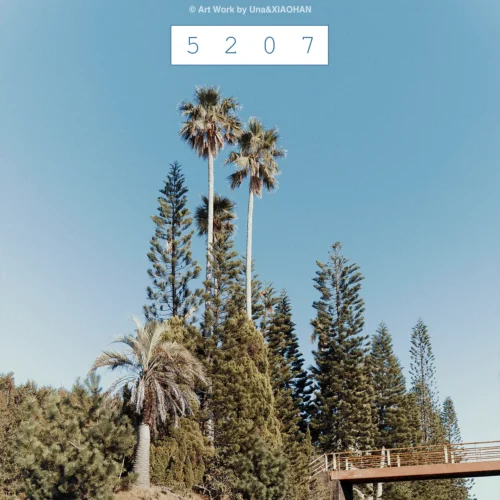 Kodak 5207 Film Preset X5 – Giả Lập Hasselblad Scan Chuẩn Điện Ảnh 90s (XMP) 20 shopthietke com Shopthietke.com 330