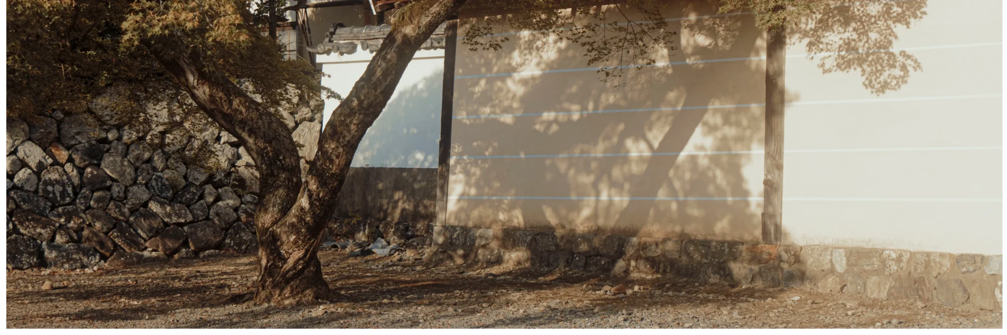 shopthietke com Shopthietke.com 337 scaled