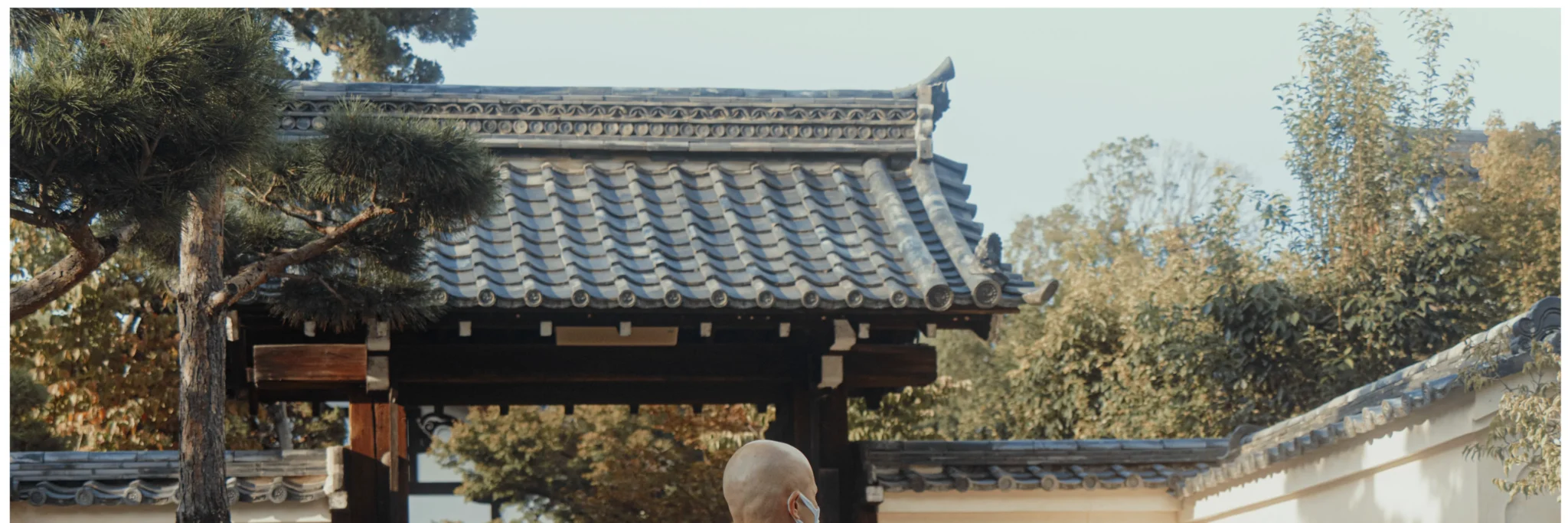 shopthietke com Shopthietke.com 340 scaled