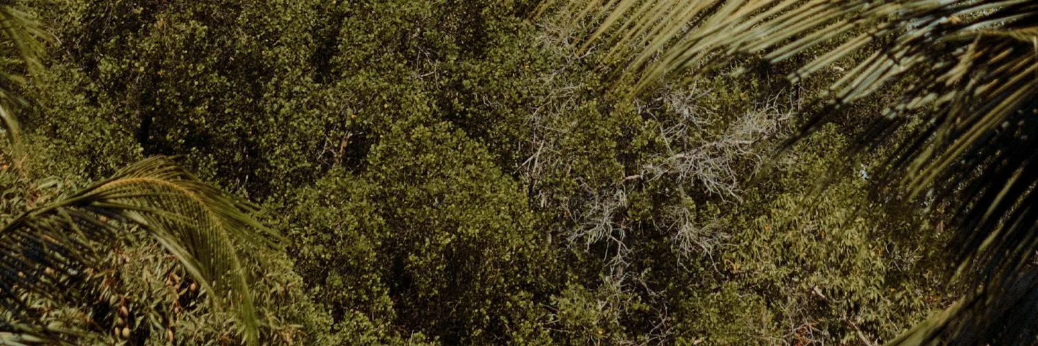 shopthietke com Shopthietke.com 355