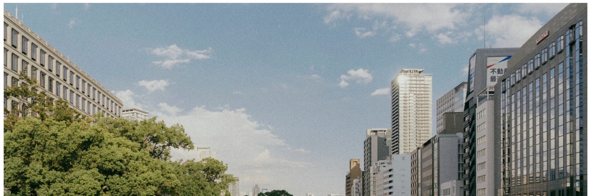 shopthietke com Shopthietke.com 378 scaled