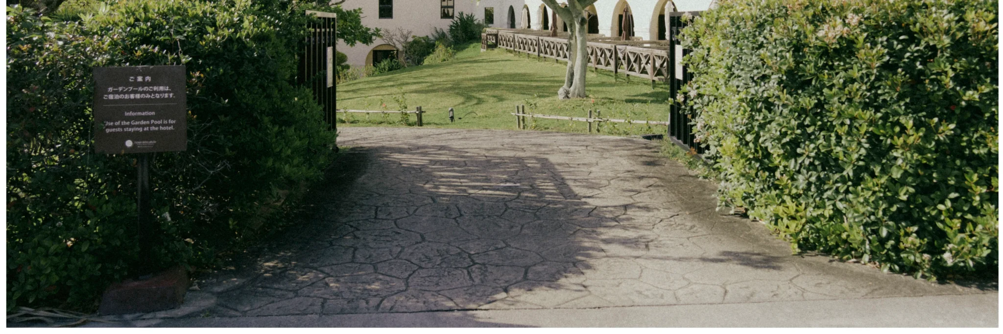 shopthietke com Shopthietke.com 393 scaled