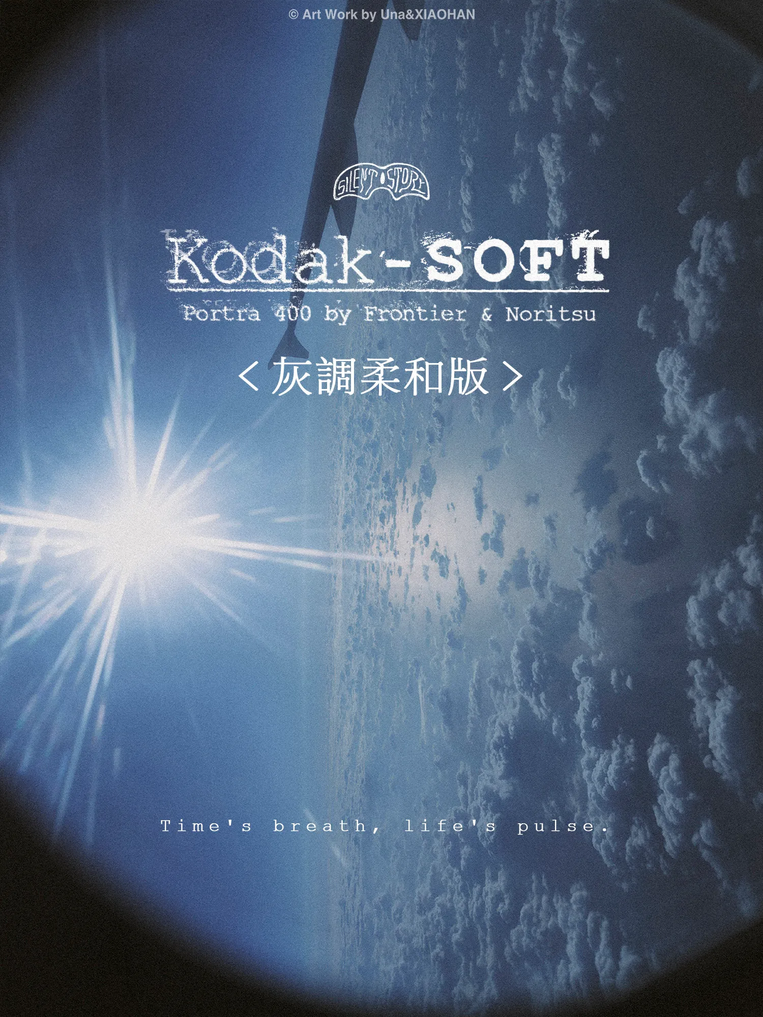 Preset Portra 400 Soft Grey – Tông Xám Mềm Mại Đậm Chất Film Điện Ảnh (XMP)