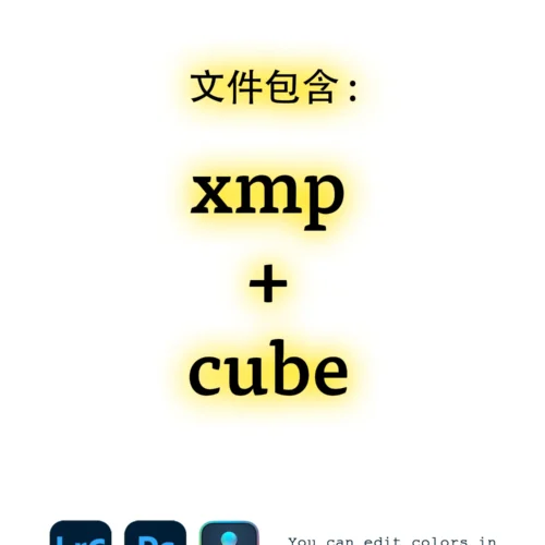 Preset Portra 400 Soft Grey – Tông Xám Mềm Mại Đậm Chất Film Điện Ảnh (XMP) 16 shopthietke com Shopthietke.com 411