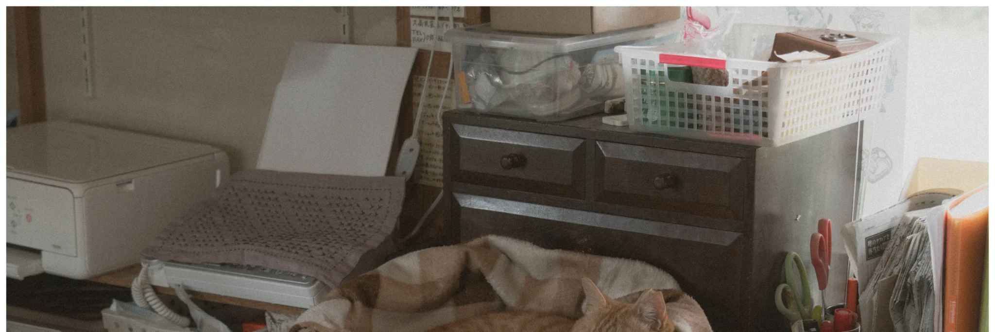 shopthietke com Shopthietke.com 432 scaled