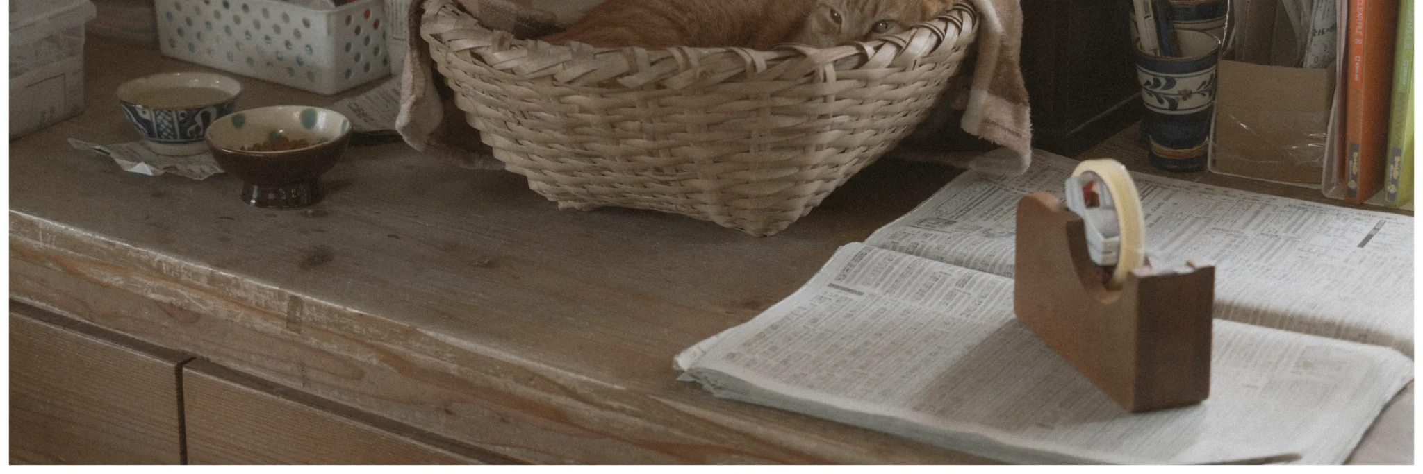 shopthietke com Shopthietke.com 433 scaled