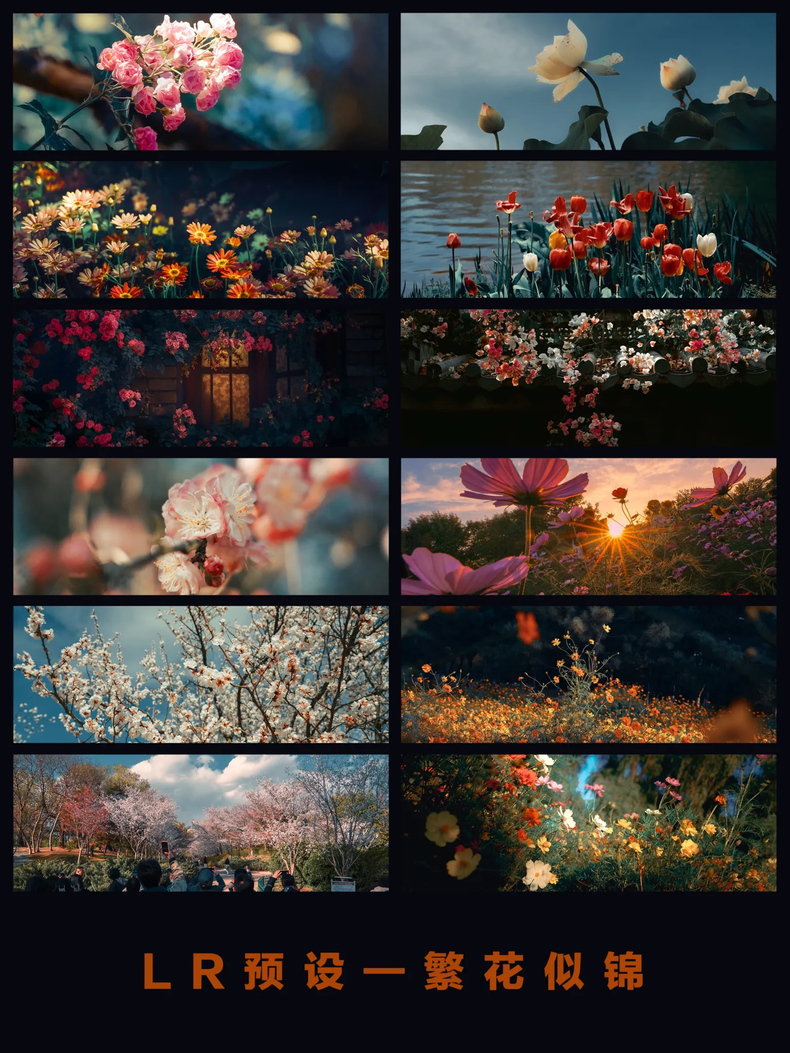 Bộ Sưu Tập Preset Từ NAG Lý Minh Tinh Chủ Đề Hoa Xuân Rực Rỡ (XMP/DNG)