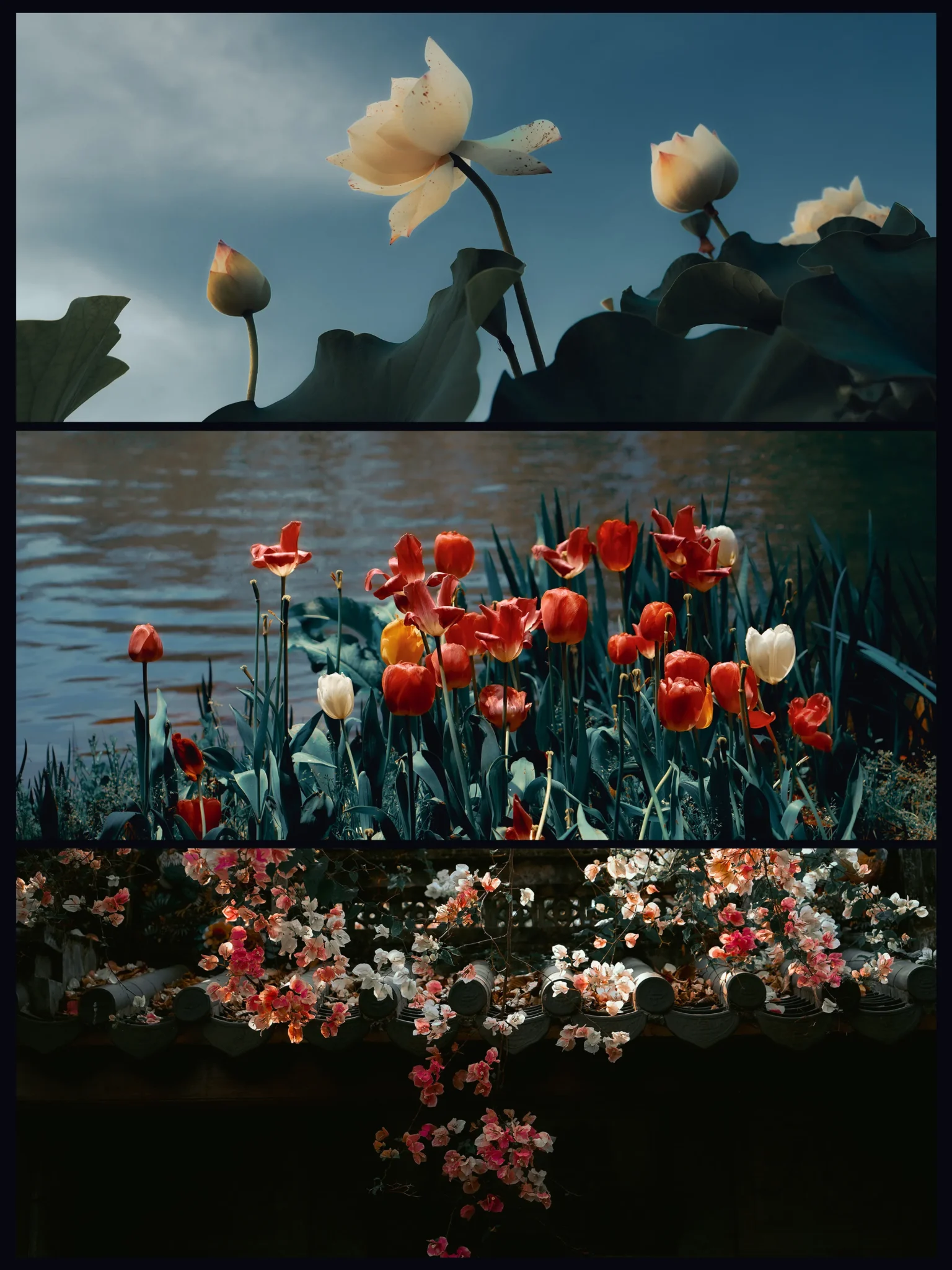 shopthietke com Shopthietke.com 462 scaled