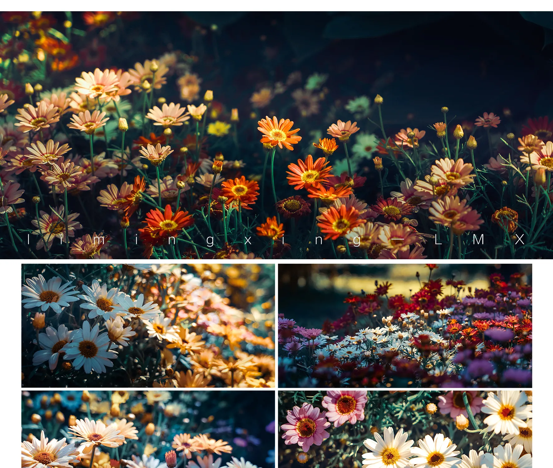 shopthietke com Shopthietke.com 467