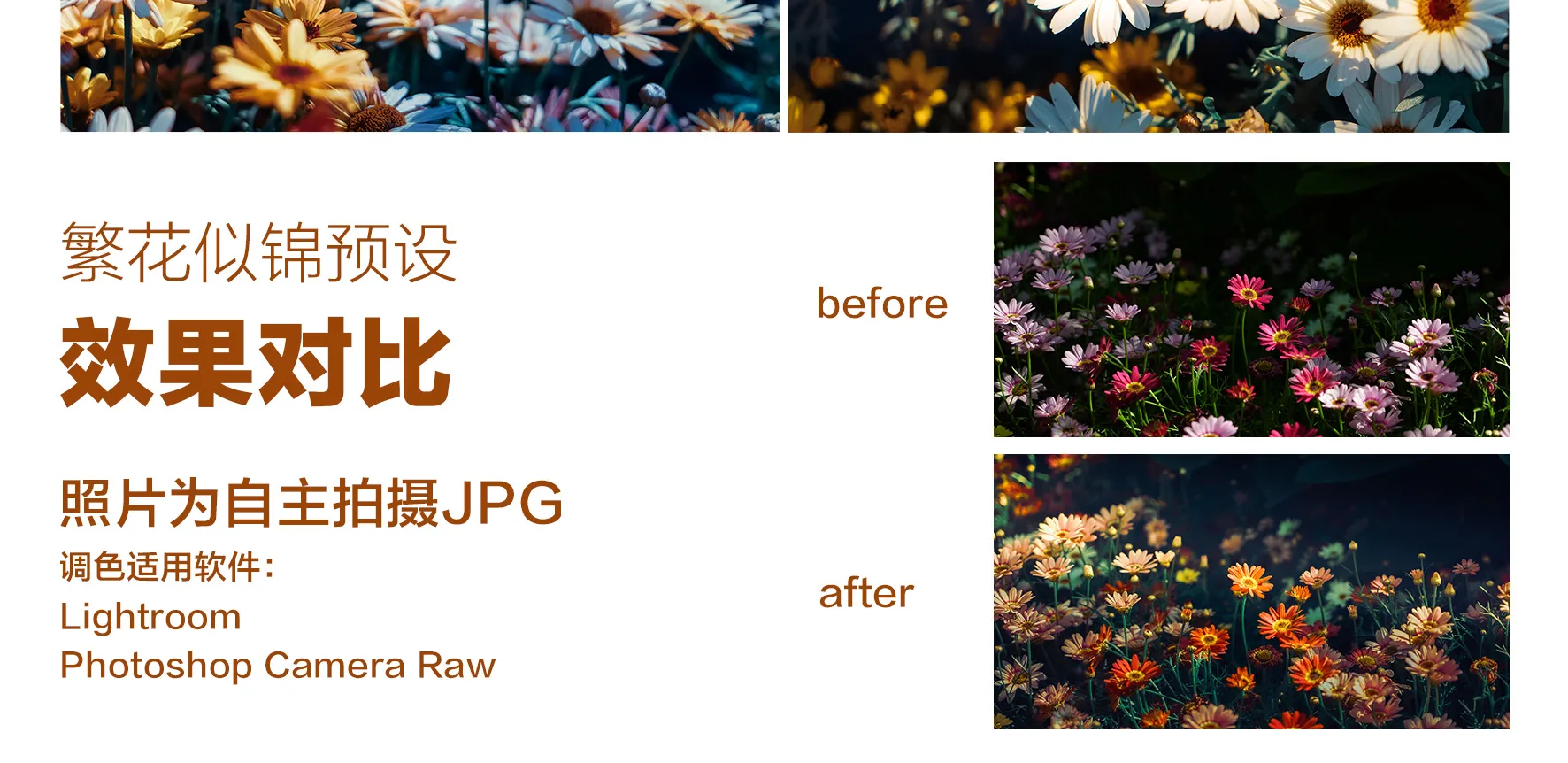 shopthietke com Shopthietke.com 468