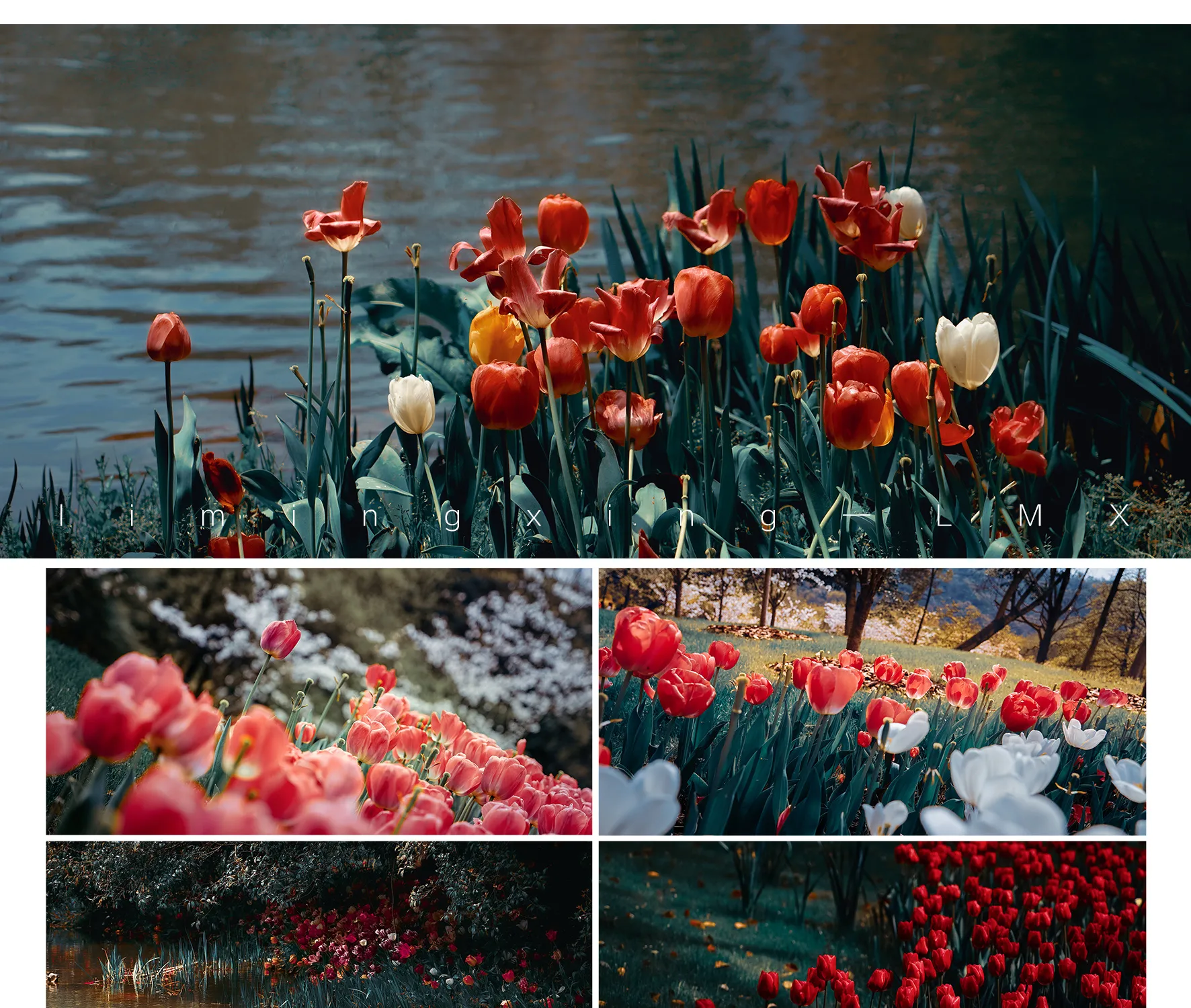 shopthietke com Shopthietke.com 471