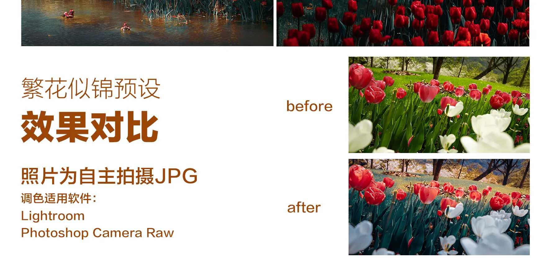 shopthietke com Shopthietke.com 472