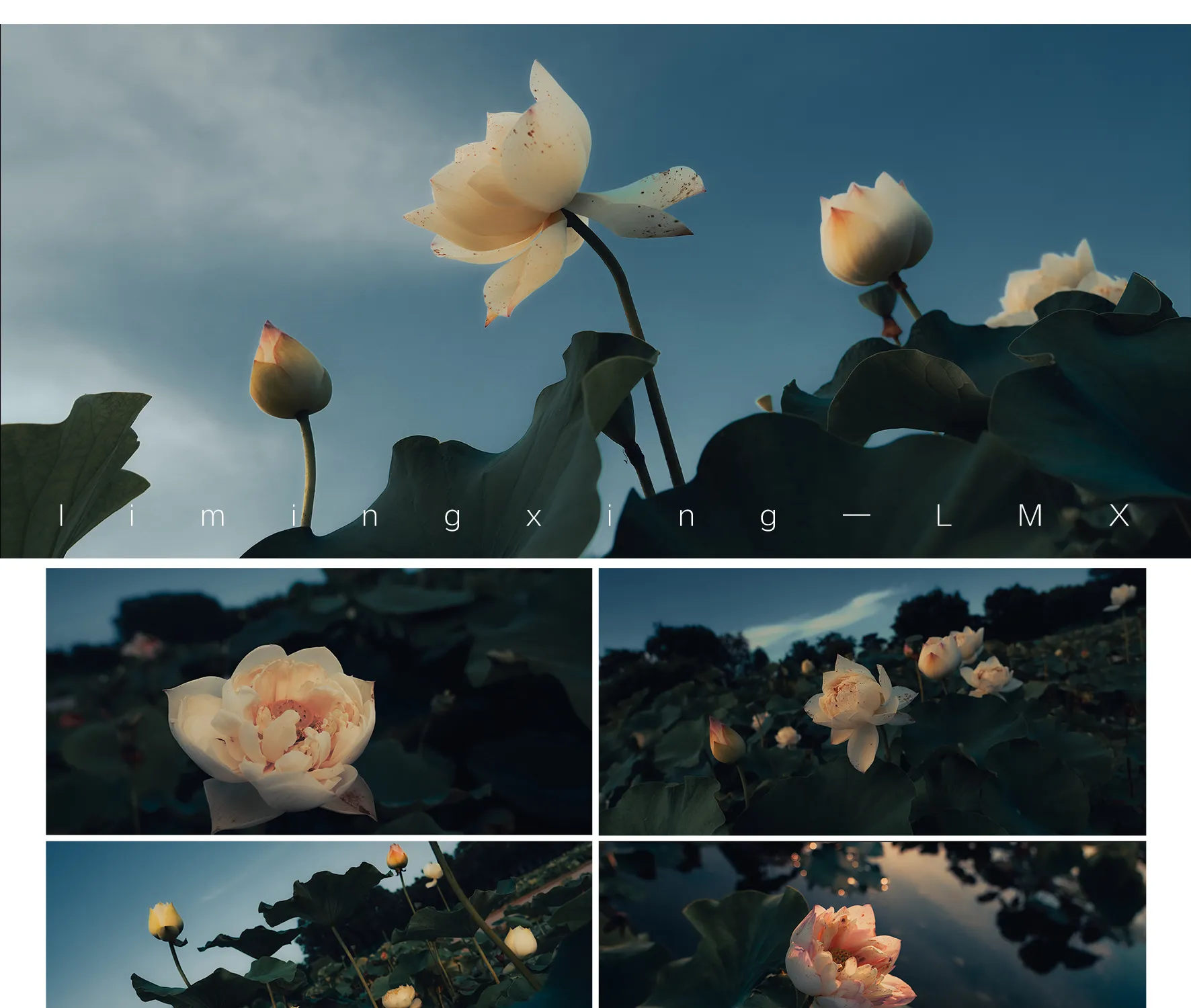 shopthietke com Shopthietke.com 473