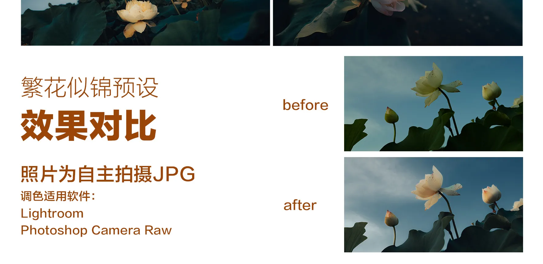 shopthietke com Shopthietke.com 474