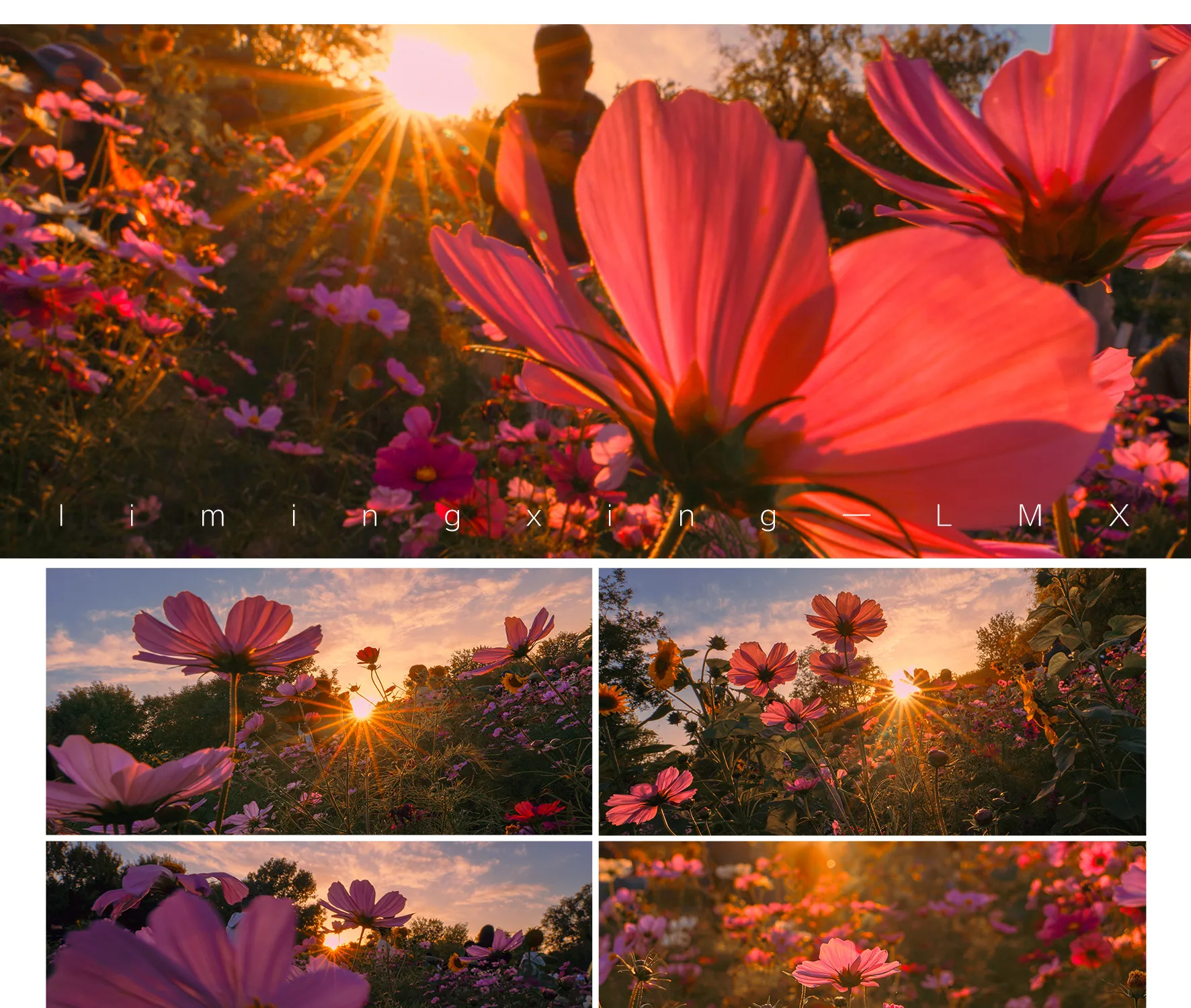 shopthietke com Shopthietke.com 475