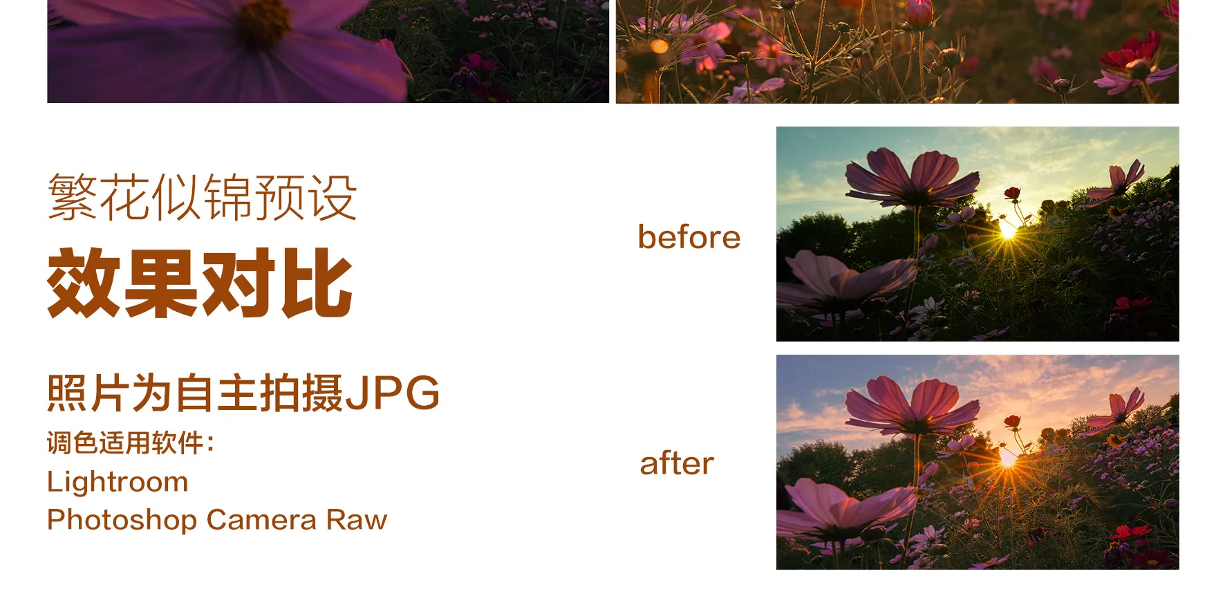 shopthietke com Shopthietke.com 476