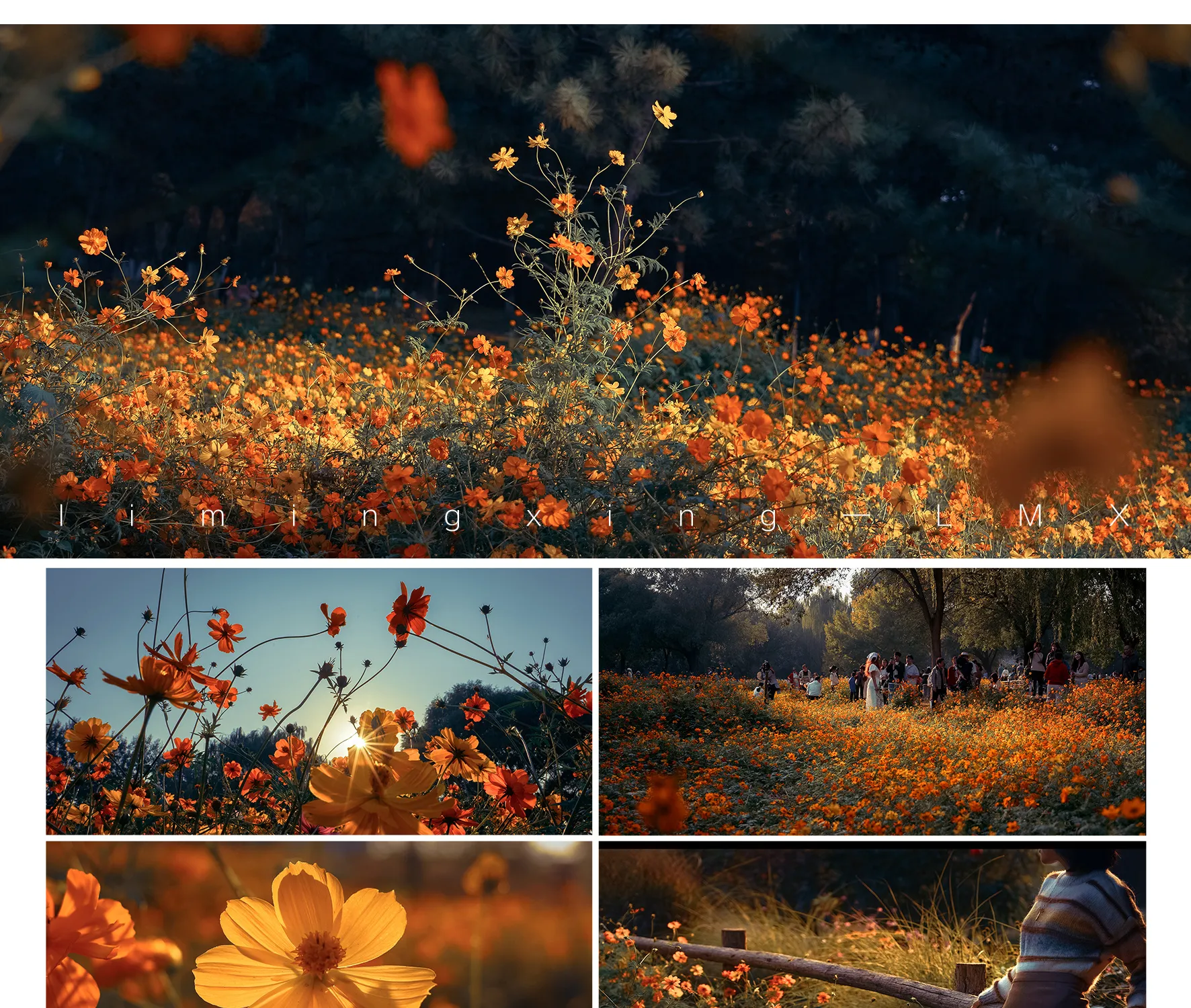 shopthietke com Shopthietke.com 477