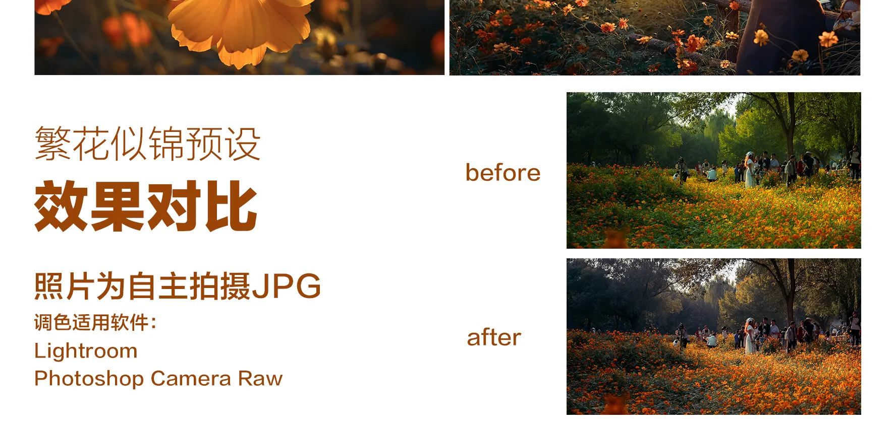 shopthietke com Shopthietke.com 478