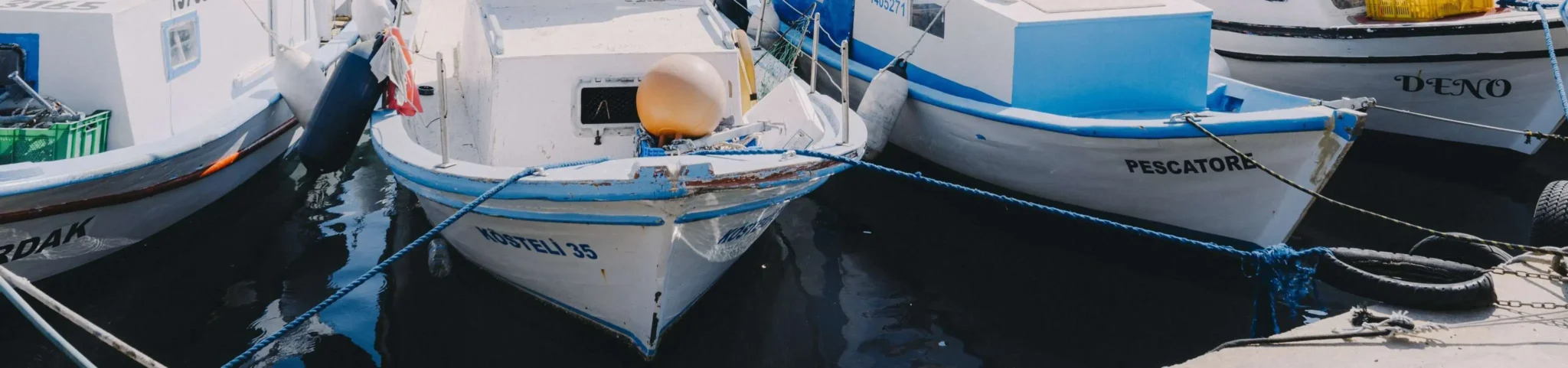 shopthietke com Shopthietke.com 48 scaled