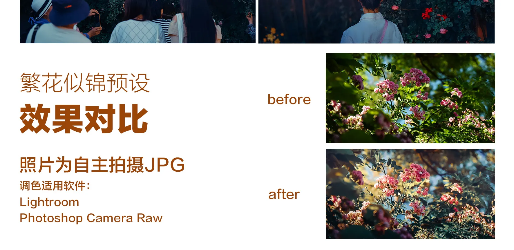 shopthietke com Shopthietke.com 480